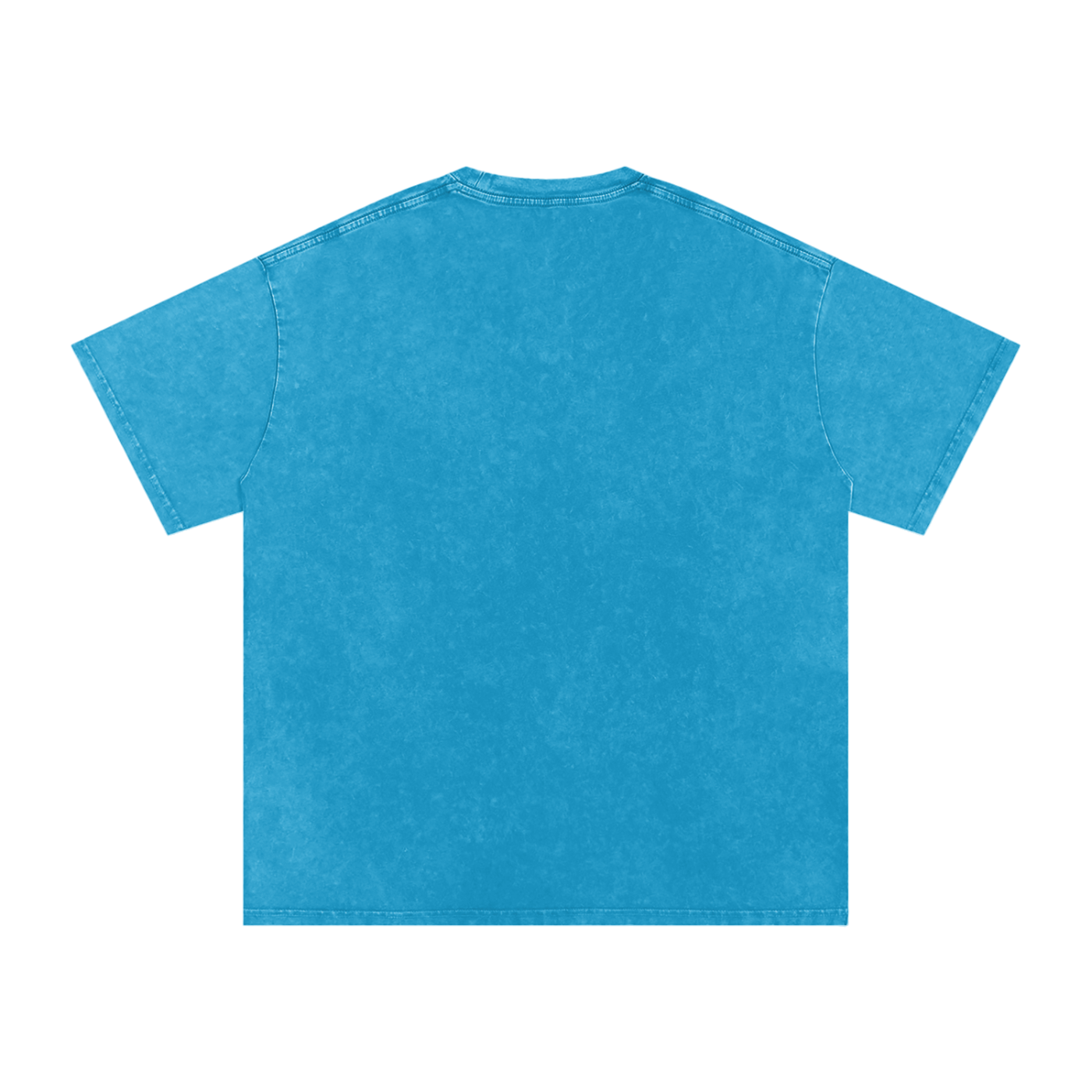 Biblically Boosted Basic logo Snow Washed T-Shirt