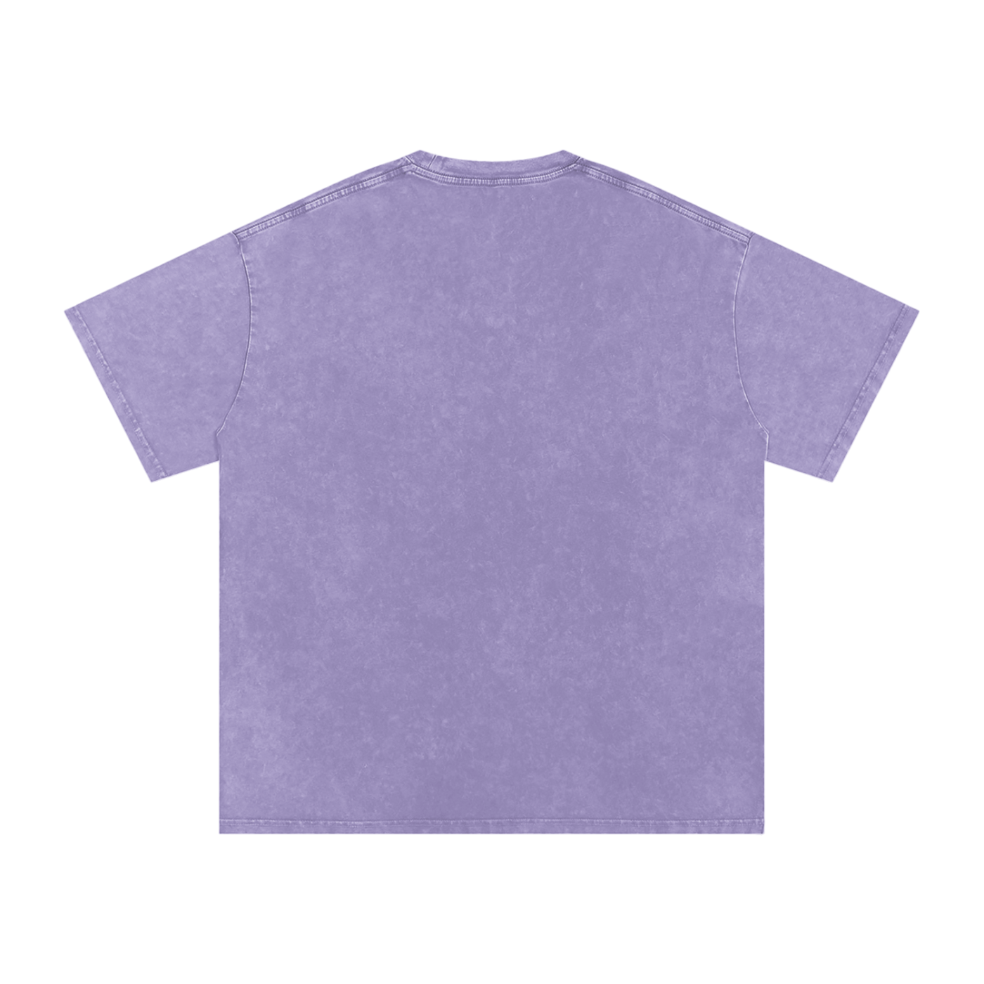 Biblically Boosted Basic logo Snow Washed T-Shirt