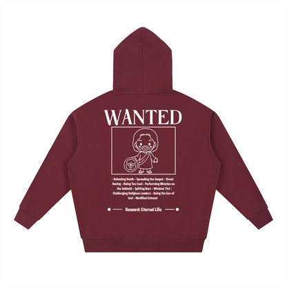 Biblically Boosted Wanted Essential Hoodie