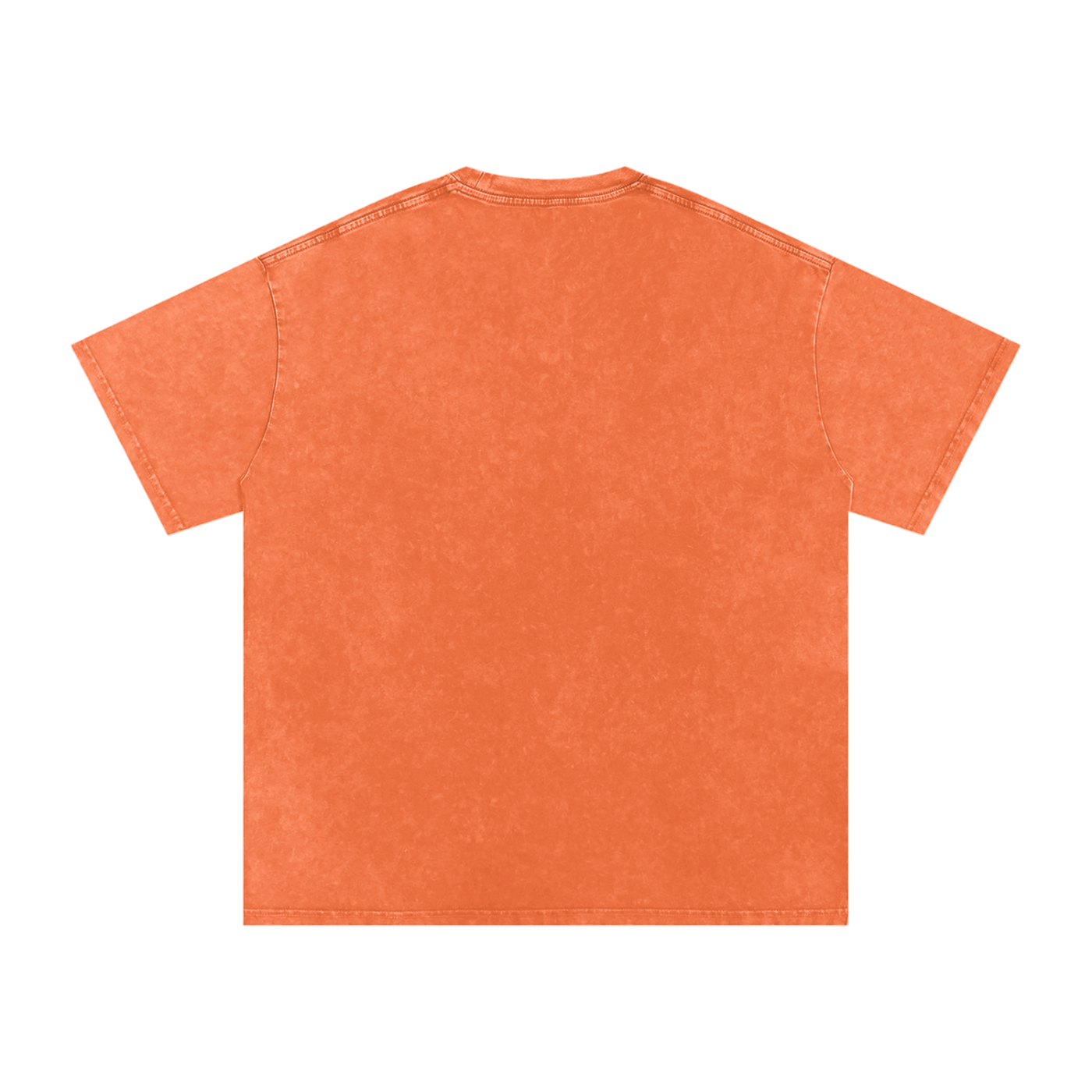 Biblically Boosted Basic logo Snow Washed T-Shirt