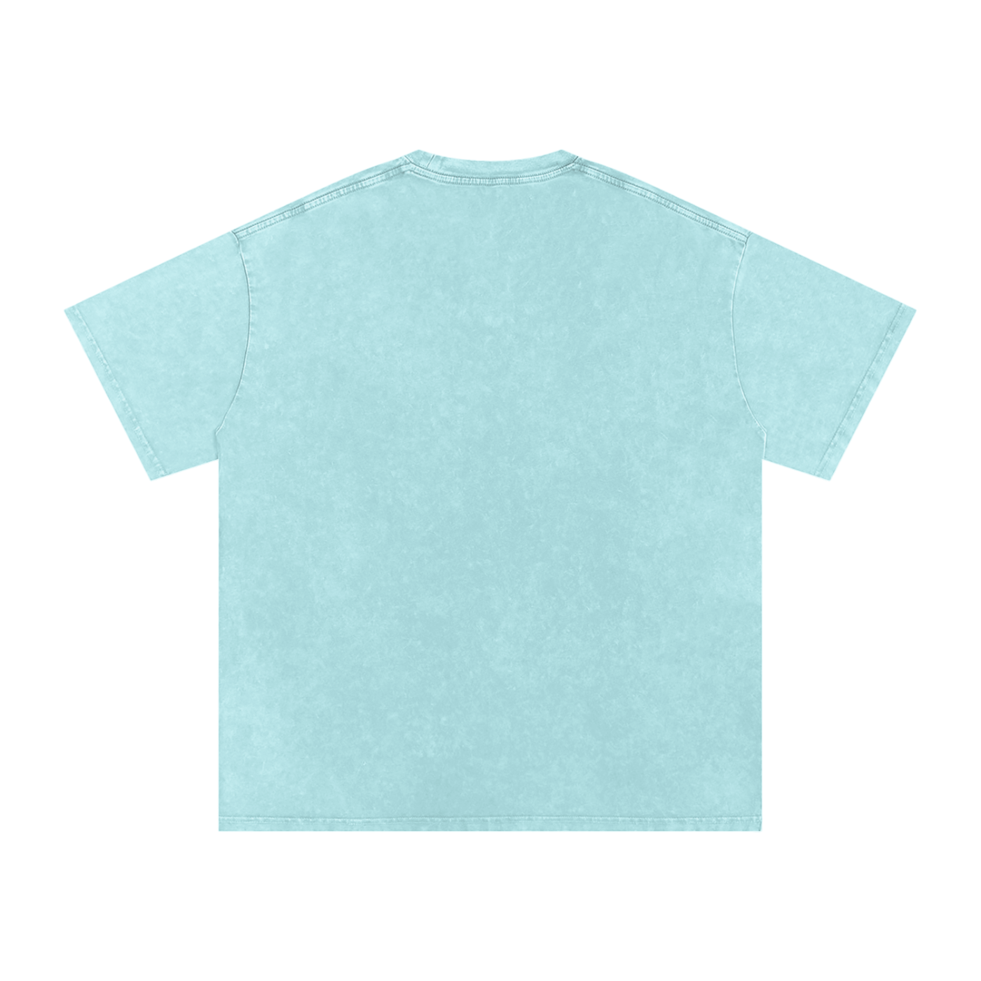 Biblically Boosted Basic logo Snow Washed T-Shirt