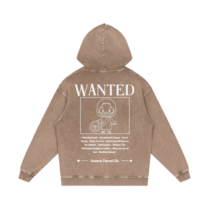 Biblically Boosted Wanted Snow Washed Hoodie