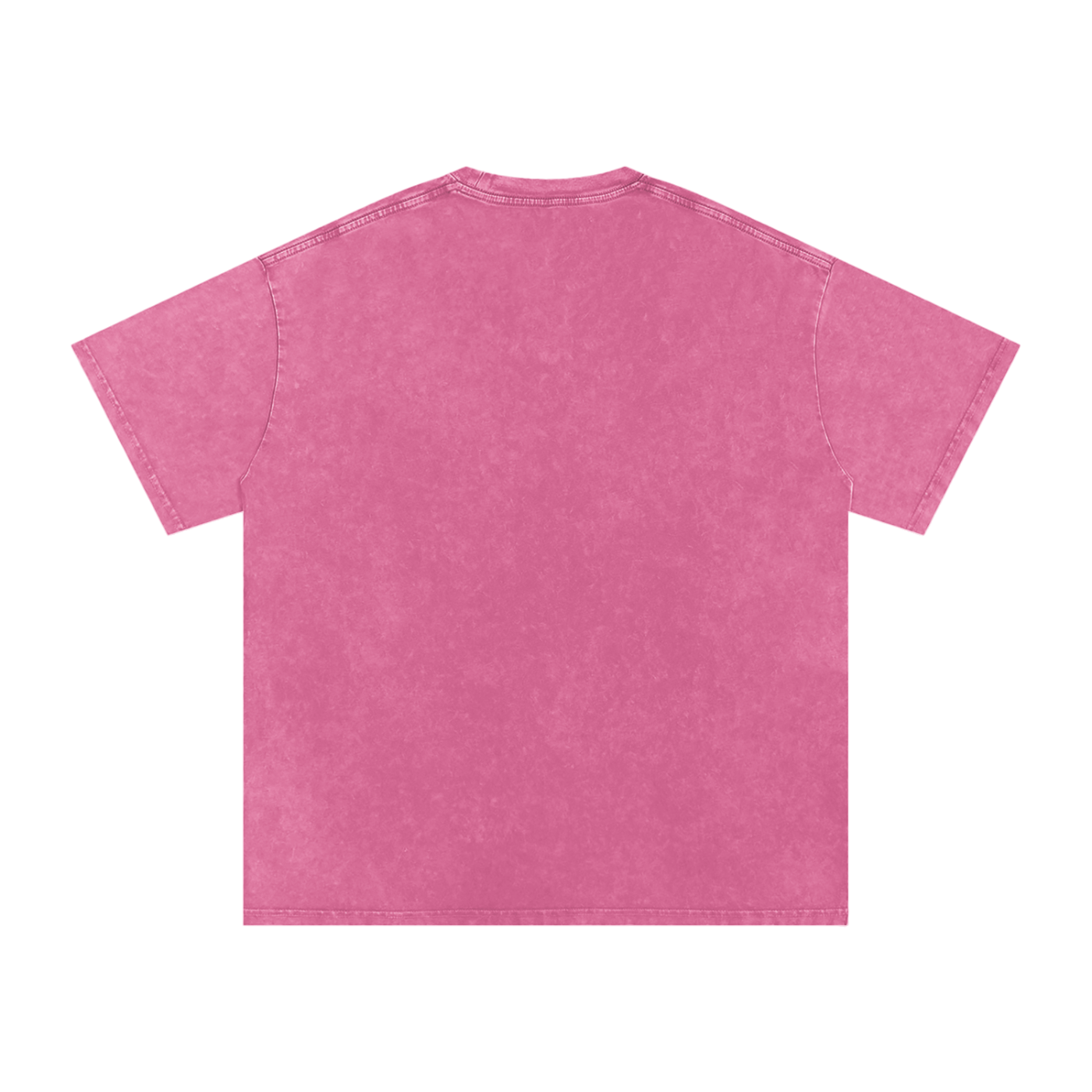 Biblically Boosted Basic logo Snow Washed T-Shirt