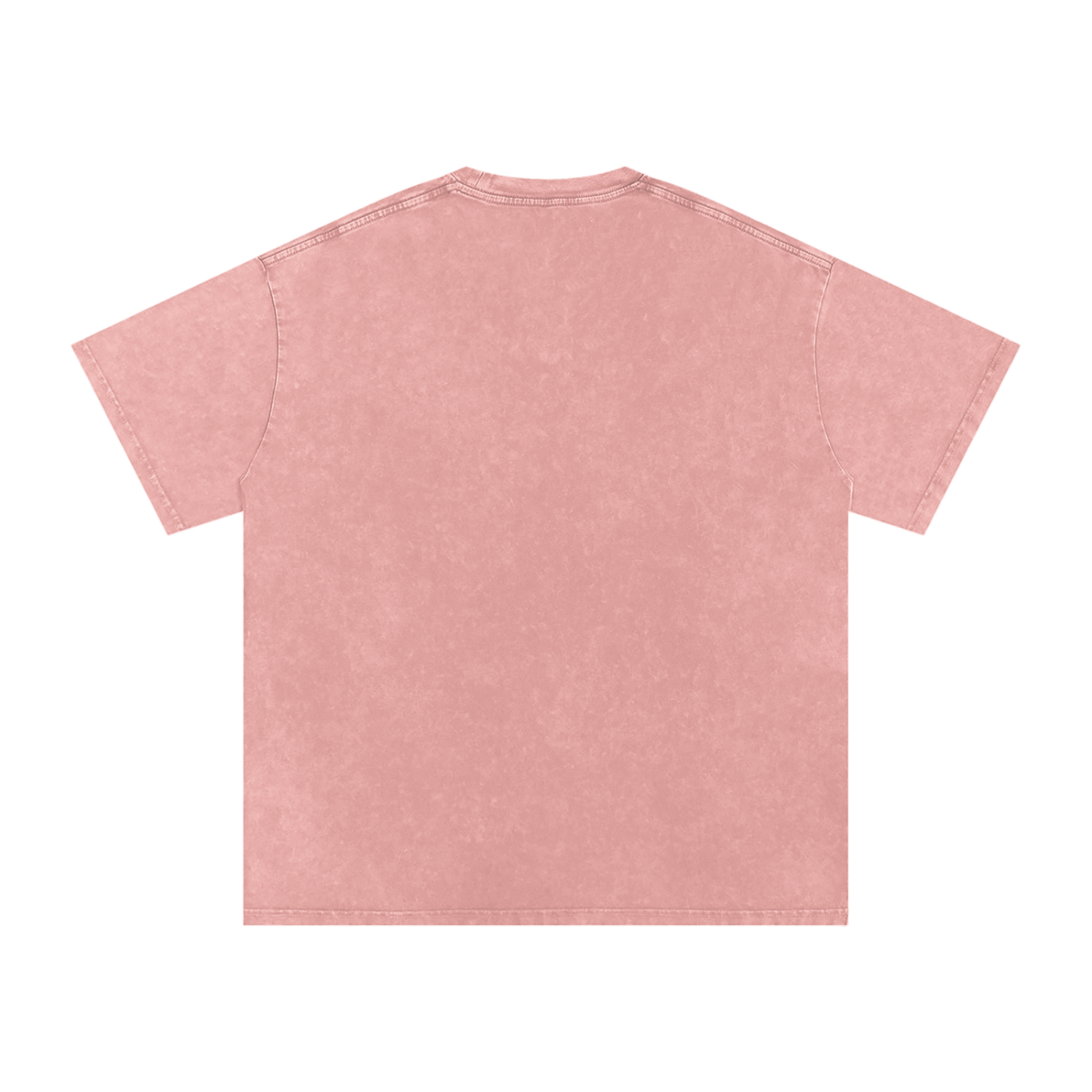 Biblically Boosted Basic logo Snow Washed T-Shirt