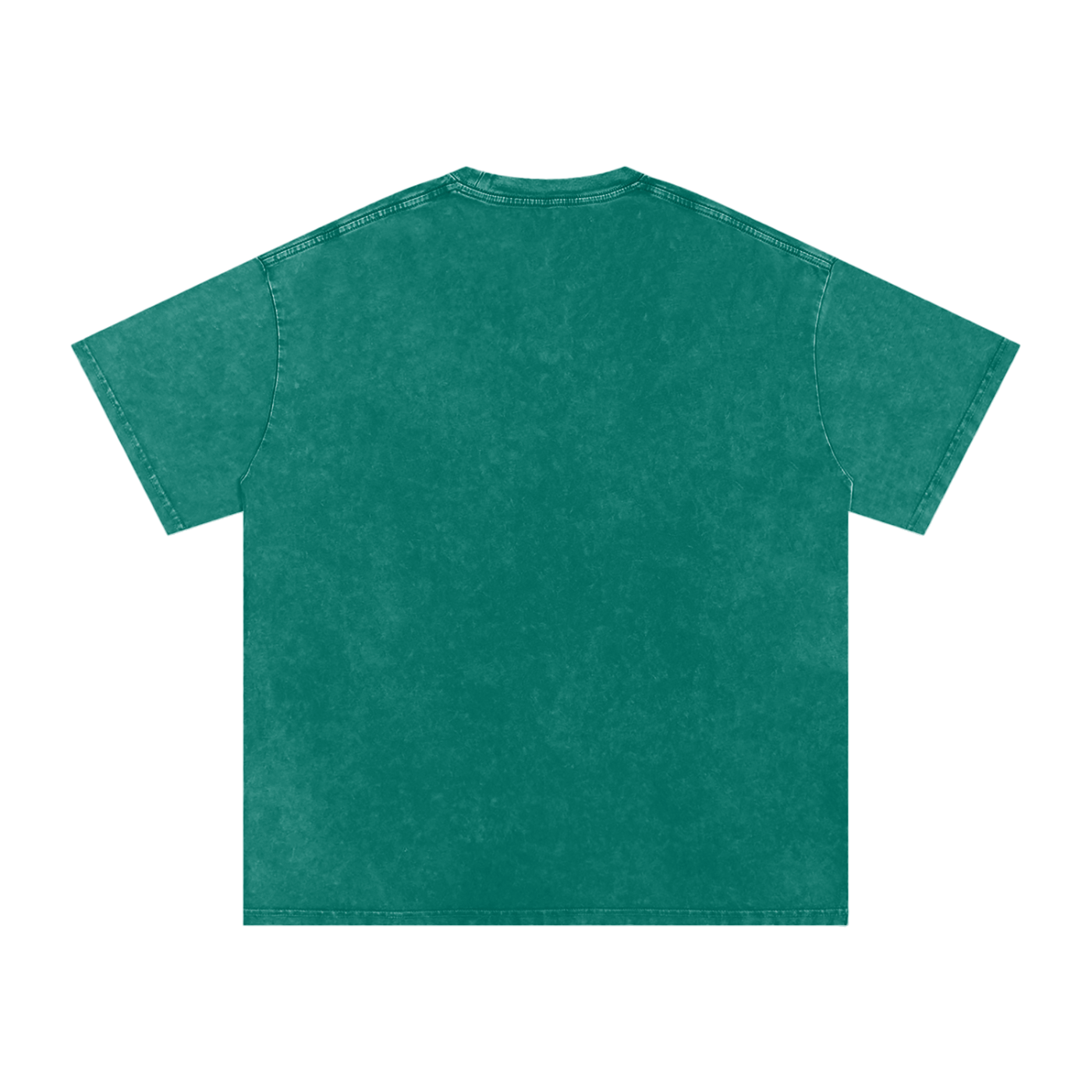 Biblically Boosted Basic logo Snow Washed T-Shirt