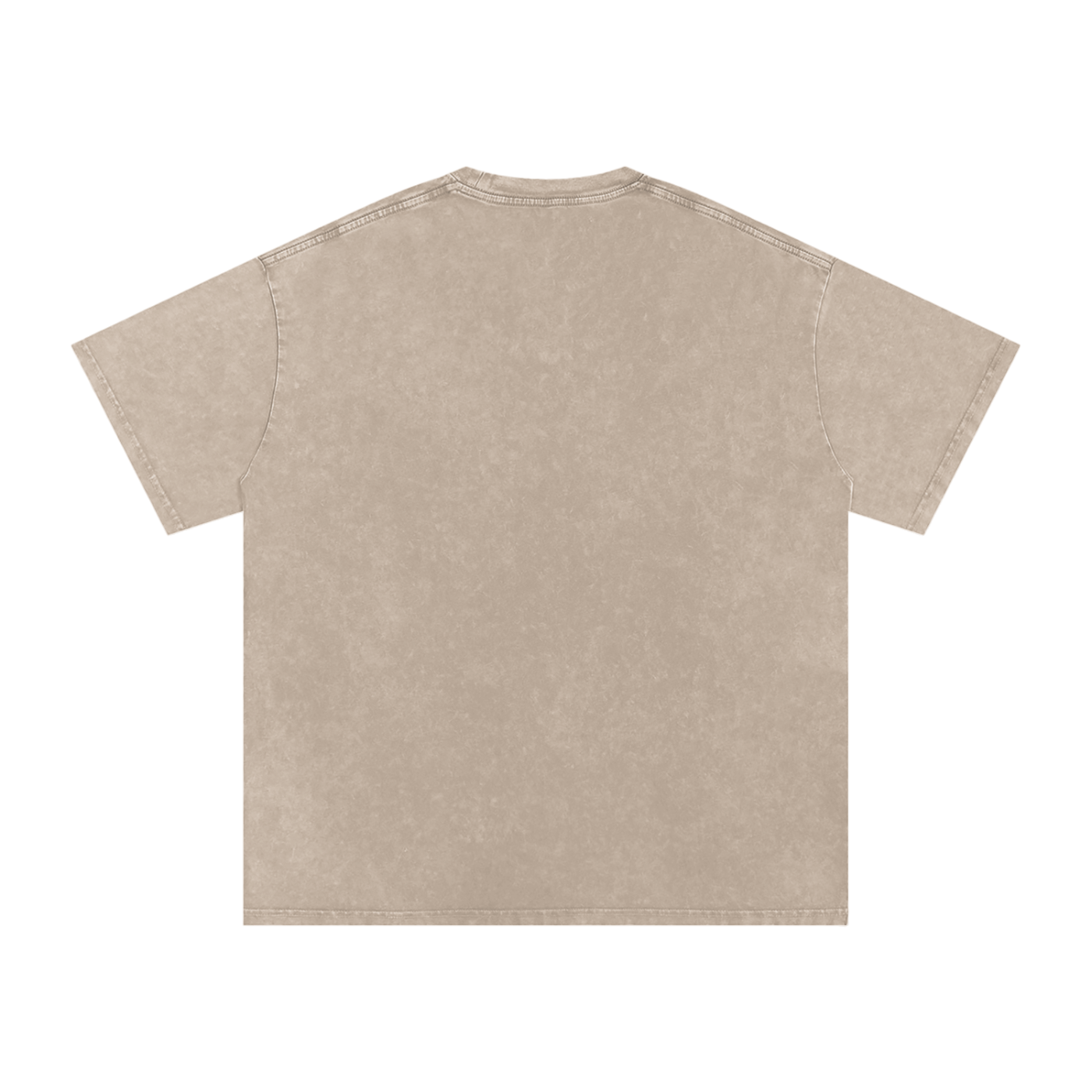 Biblically Boosted Basic logo Snow Washed T-Shirt