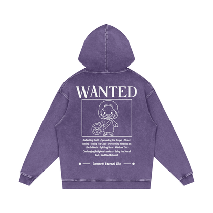 Biblically Boosted Wanted Snow Washed Hoodie